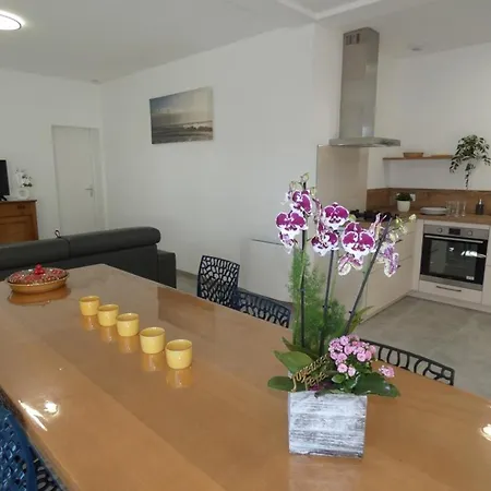 Maison Conviviale A 500m De La Plage, Animaux Admis, Terrasse Et Wifi - Fr-1-540-307 *
